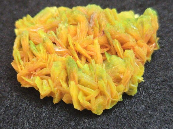 Autunite / Meta-Autunite Crystal - Fluorescent Uranium Ore, 2.8 Grams - Image 8