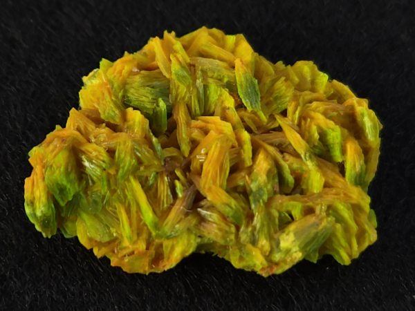 Autunite / Meta-Autunite Crystal - Fluorescent Uranium Ore, 2.8 Grams - Image 3