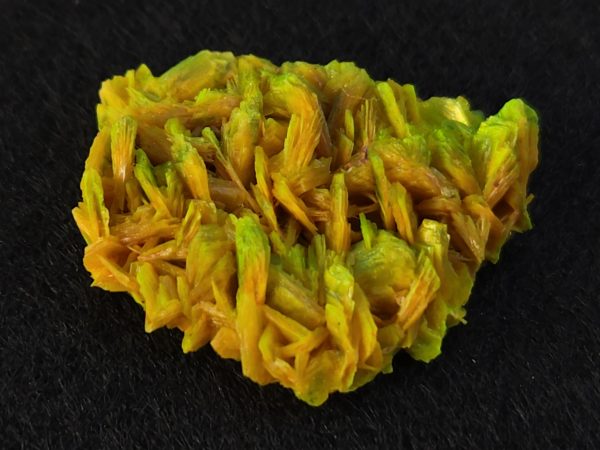 Autunite / Meta-Autunite Crystal - Fluorescent Uranium Ore, 2.8 Grams - Image 9