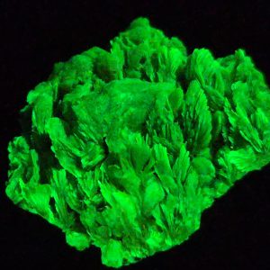 Autunite / Meta-Autunite Crystal - Fluorescent Uranium Ore, 5.5 Grams