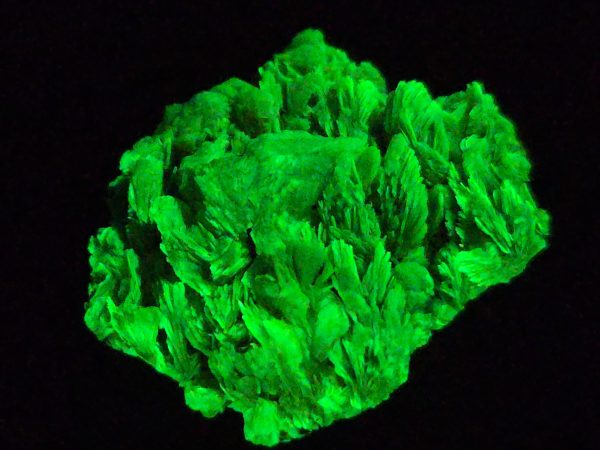 Autunite / Meta-Autunite Crystal - Fluorescent Uranium Ore, 5.5 Grams