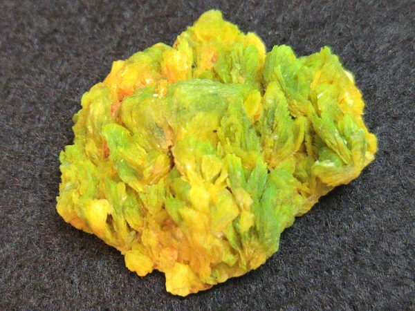 Autunite / Meta-Autunite Crystal - Fluorescent Uranium Ore, 5.5 Grams - Image 2