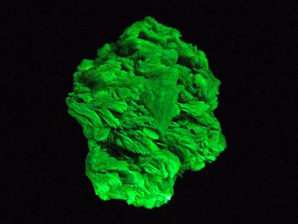 Autunite / Meta-Autunite Crystal - Fluorescent Uranium Ore, 5.5 Grams - Image 4