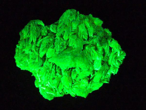 Autunite / Meta-Autunite Crystal - Fluorescent Uranium Ore, 5.5 Grams - Image 7