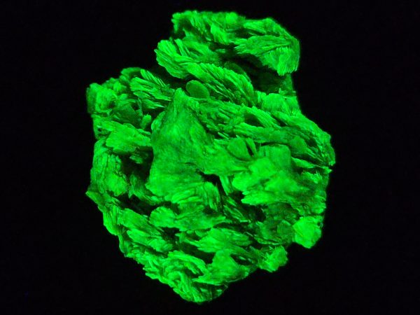 Autunite / Meta-Autunite Crystal - Fluorescent Uranium Ore, 5.5 Grams - Image 10