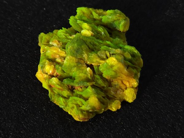 Autunite / Meta-Autunite Crystal - Fluorescent Uranium Ore, 5.5 Grams - Image 11