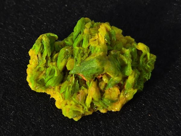 Autunite / Meta-Autunite Crystal - Fluorescent Uranium Ore, 5.5 Grams - Image 9