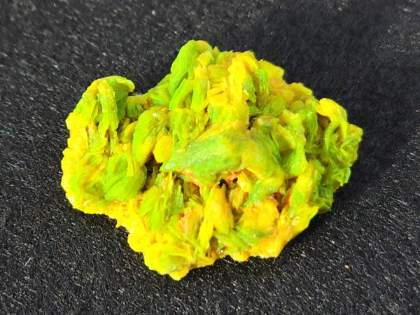 Autunite / Meta-Autunite Crystal - Fluorescent Uranium Ore, 5.5 Grams - Image 8