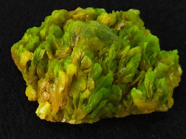 Autunite / Meta-Autunite Crystal - Fluorescent Uranium Ore, 5.5 Grams - Image 3