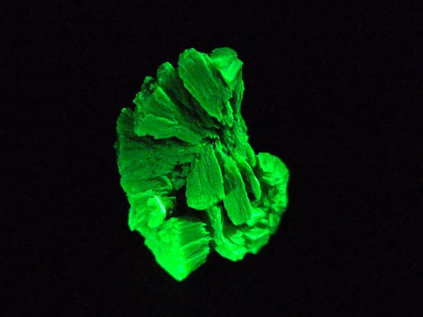 Lamellar Autunite / Meta- Autunite Crystal - Fluorescent Uranium Ore, 6.5 Grams