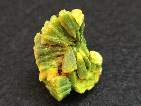 Lamellar Autunite / Meta- Autunite Crystal  - Fluorescent Uranium Ore, 6.5 Grams - Image 2