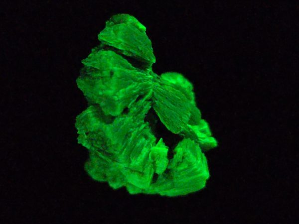 Lamellar Autunite / Meta- Autunite Crystal  - Fluorescent Uranium Ore, 6.5 Grams - Image 8