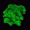 Autunite / Meta-Autunite Crystal - Fluorescent Uranium Ore, 6.5 Grams