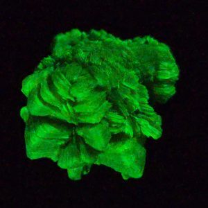 Autunite / Meta-Autunite Crystal - Fluorescent Uranium Ore, 6.5 Grams