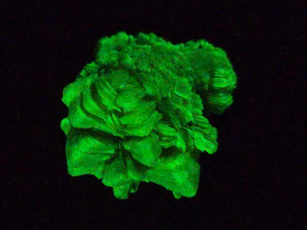 Autunite / Meta-Autunite Crystal - Fluorescent Uranium Ore, 6.5 Grams