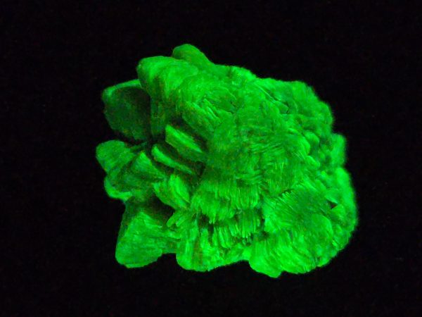 Autunite / Meta-Autunite Crystal - Fluorescent Uranium Ore, 6.5 Grams - Image 4