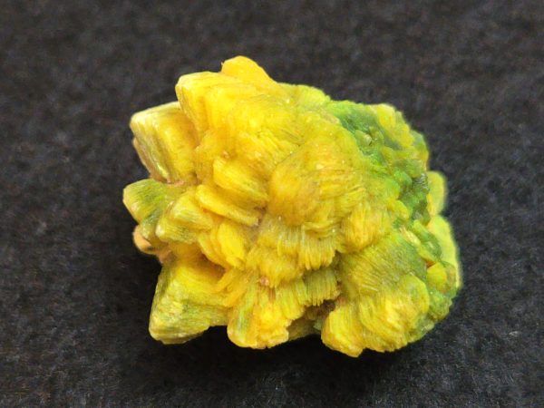 Autunite / Meta-Autunite Crystal - Fluorescent Uranium Ore, 6.5 Grams - Image 5