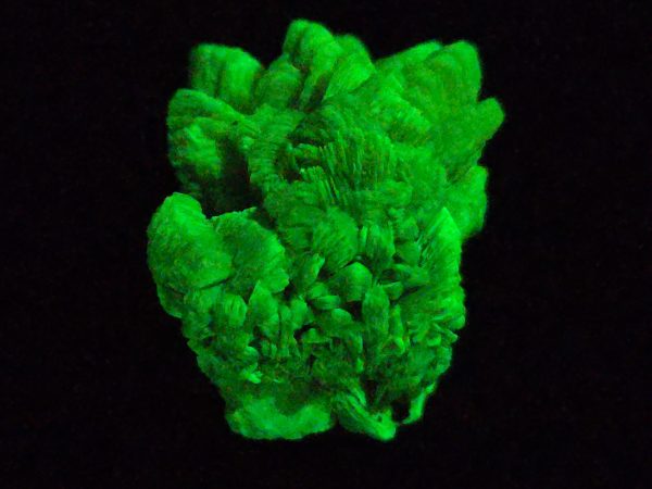 Autunite / Meta-Autunite Crystal - Fluorescent Uranium Ore, 6.5 Grams - Image 7