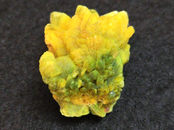 Autunite / Meta-Autunite Crystal - Fluorescent Uranium Ore, 6.5 Grams - Image 8