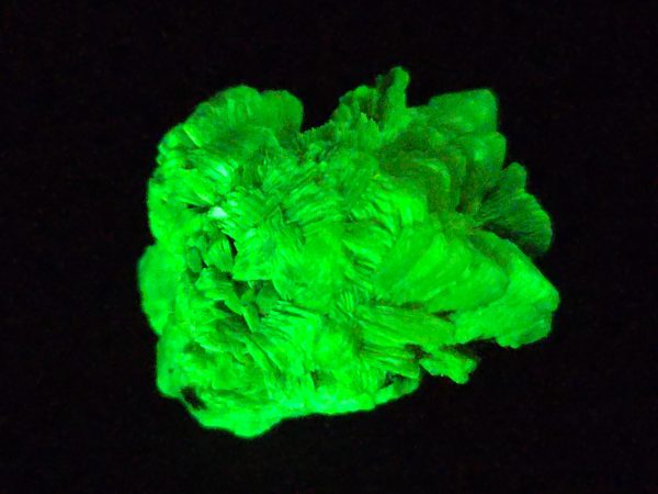 Autunite / Meta-Autunite Crystal - Fluorescent Uranium Ore, 6.5 Grams - Image 10