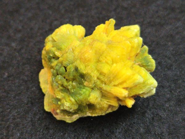 Autunite / Meta-Autunite Crystal - Fluorescent Uranium Ore, 6.5 Grams - Image 11