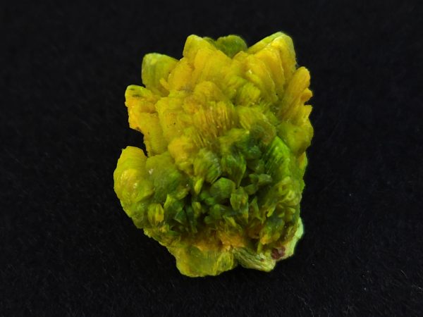 Autunite / Meta-Autunite Crystal - Fluorescent Uranium Ore, 6.5 Grams - Image 9