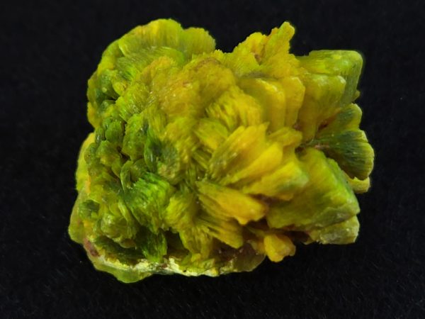 Autunite / Meta-Autunite Crystal - Fluorescent Uranium Ore, 6.5 Grams - Image 12