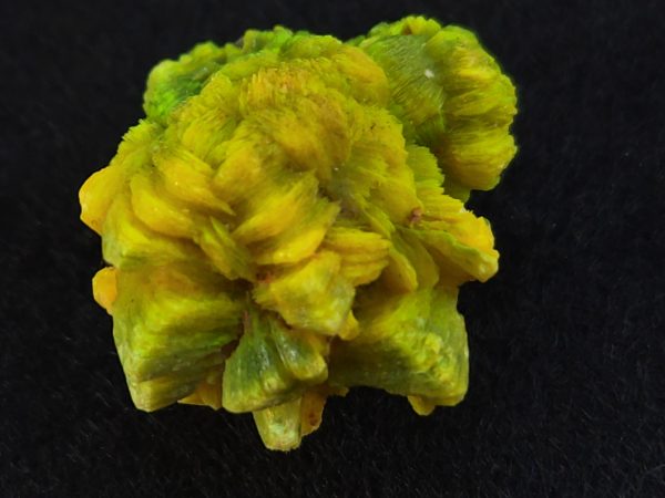 Autunite / Meta-Autunite Crystal - Fluorescent Uranium Ore, 6.5 Grams - Image 3