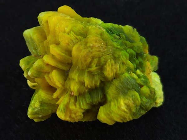 Autunite / Meta-Autunite Crystal - Fluorescent Uranium Ore, 6.5 Grams - Image 6