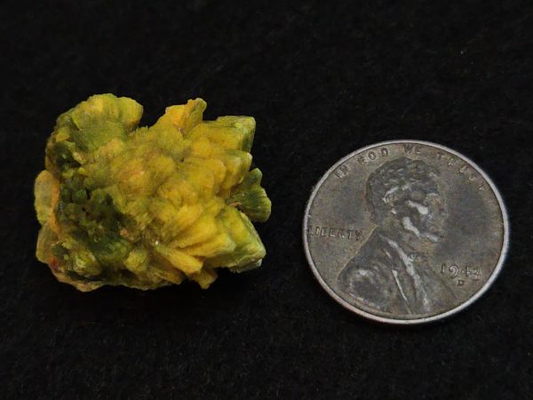 Autunite / Meta-Autunite Crystal - Fluorescent Uranium Ore, 6.5 Grams - Image 16