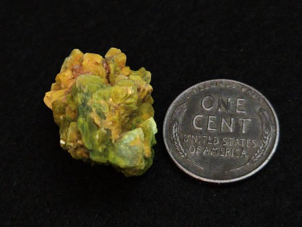 Autunite / Meta-Autunite Crystal - Fluorescent Uranium Ore, 6.5 Grams - Image 17