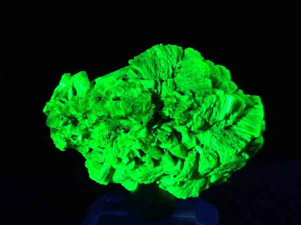 Lamellar Autunite / Meta- Autunite Crystal - Fluorescent Uranium Ore, 20 Grams