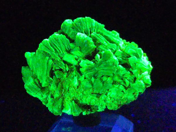 Lamellar Autunite / Meta- Autunite Crystal  - Fluorescent Uranium Ore, 20 Grams - Image 6