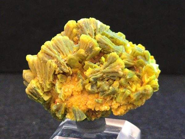 Lamellar Autunite / Meta- Autunite Crystal  - Fluorescent Uranium Ore, 20 Grams - Image 7