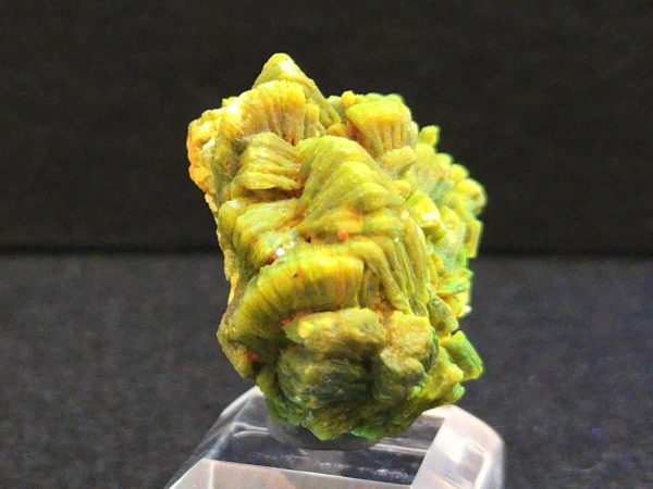 Lamellar Autunite / Meta- Autunite Crystal  - Fluorescent Uranium Ore, 20 Grams - Image 9