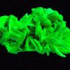 Autunite / Meta-Autunite Crystal - Fluorescent Uranium Ore, 2.9 Grams