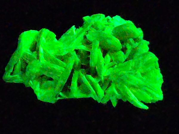 Autunite / Meta-Autunite Crystal - Fluorescent Uranium Ore, 2.9 Grams