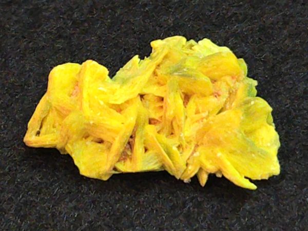 Autunite / Meta-Autunite Crystal - Fluorescent Uranium Ore, 2.9 Grams - Image 2