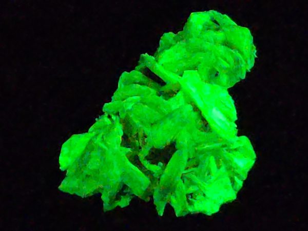 Autunite / Meta-Autunite Crystal - Fluorescent Uranium Ore, 2.9 Grams - Image 4