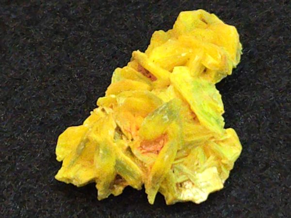 Autunite / Meta-Autunite Crystal - Fluorescent Uranium Ore, 2.9 Grams - Image 5