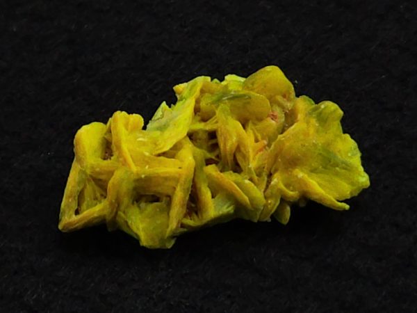 Autunite / Meta-Autunite Crystal - Fluorescent Uranium Ore, 2.9 Grams - Image 3