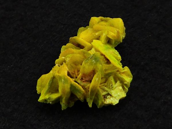 Autunite / Meta-Autunite Crystal - Fluorescent Uranium Ore, 2.9 Grams - Image 6