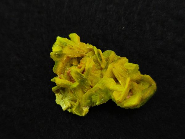 Autunite / Meta-Autunite Crystal - Fluorescent Uranium Ore, 2.9 Grams - Image 9