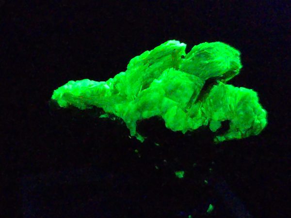 Autunite Crystals on Matrix- Fluorescent Uranium Ore, 5.6 Grams