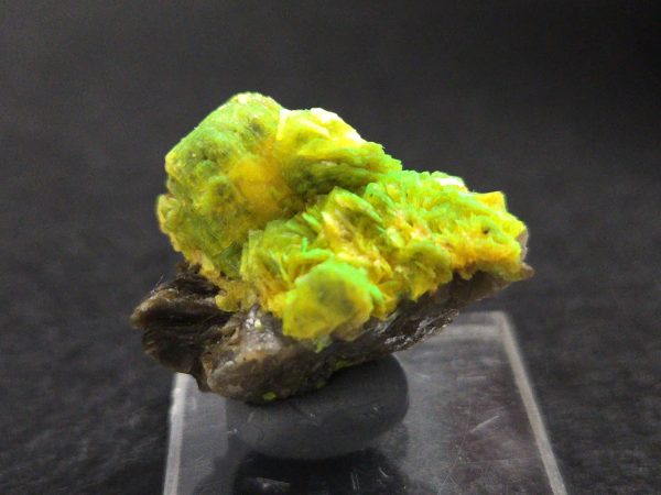 Autunite Crystals on Matrix- Fluorescent Uranium Ore, 5.6 Grams - Image 3