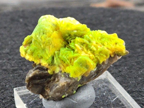 Autunite Crystals on Matrix- Fluorescent Uranium Ore, 5.6 Grams - Image 2