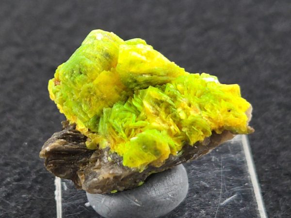 Autunite Crystals on Matrix- Fluorescent Uranium Ore, 5.6 Grams - Image 8