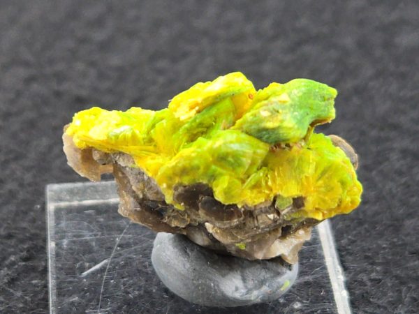 Autunite Crystals on Matrix- Fluorescent Uranium Ore, 5.6 Grams - Image 6