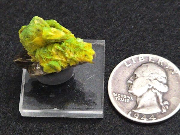 Autunite Crystals on Matrix- Fluorescent Uranium Ore, 5.6 Grams - Image 14