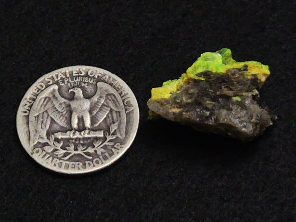 Autunite Crystals on Matrix- Fluorescent Uranium Ore, 5.6 Grams - Image 15